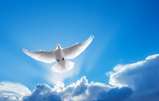 Faith